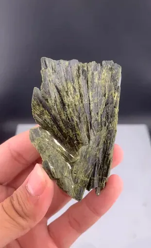 specimen video