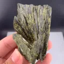 specimen video