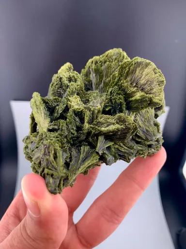 specimen video