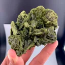 specimen video