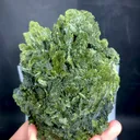 specimen video