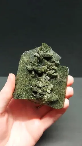 specimen video