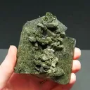 specimen video