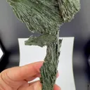 specimen video