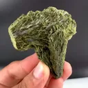 specimen video