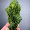 specimen video
