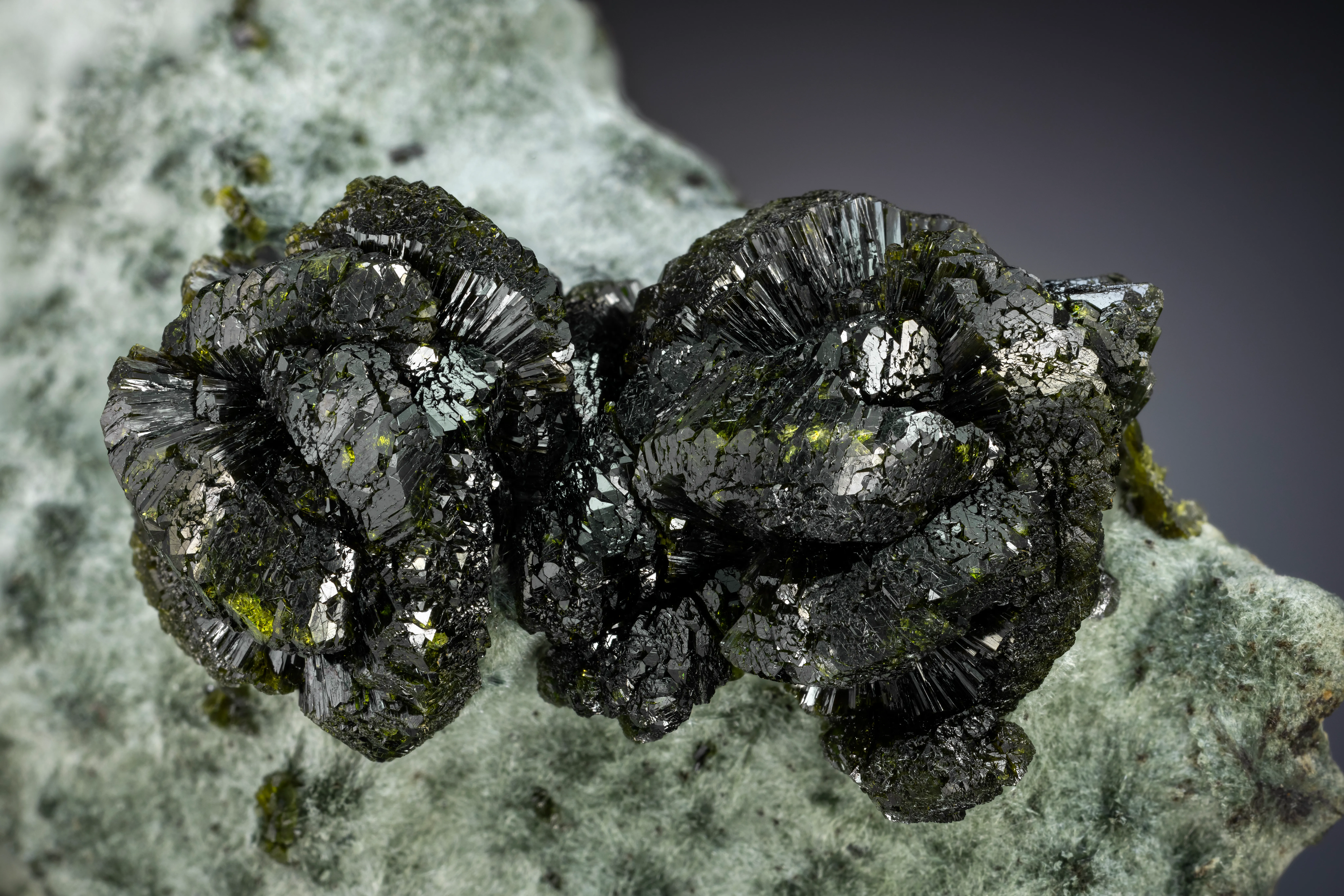 Epidote on Actinolite - image 2
