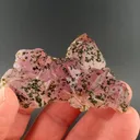Epidote on Quartz - image 1