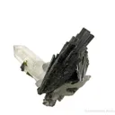 Epidote on Quartz - image 3