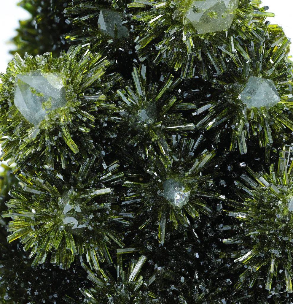 Epidote on Quartz - image 2