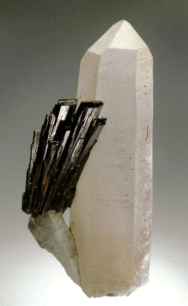 Epidote, Quartz image