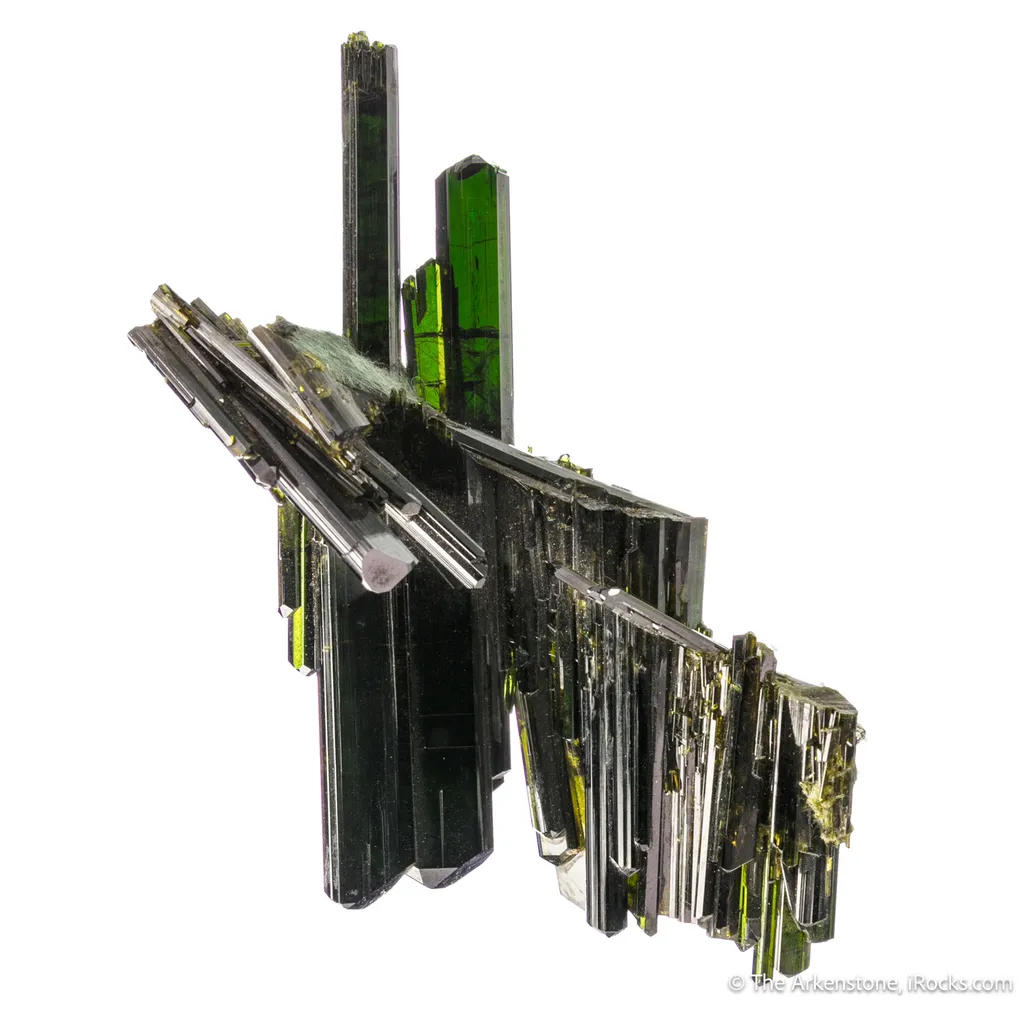 Epidote with Actinolite var. Byssolite image