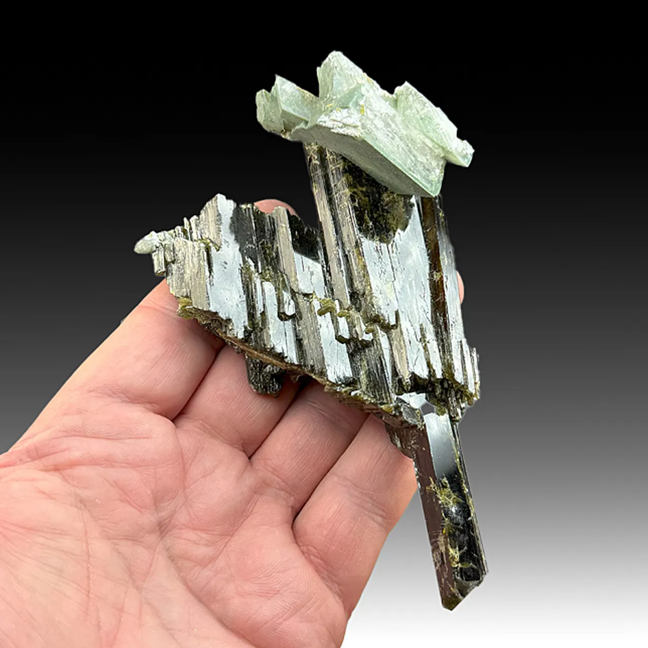 Epidote with Adularia, Chlorite - image 1