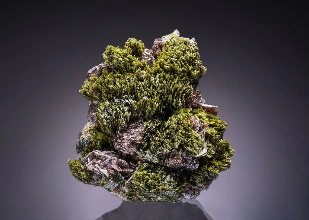 Epidote with Axinite-(Mn) image