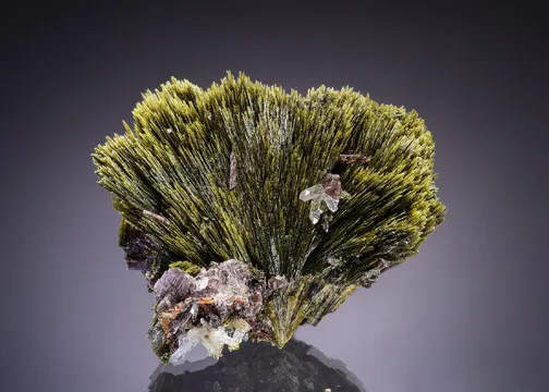 Epidote with Axinite-(Mn) and Quartz