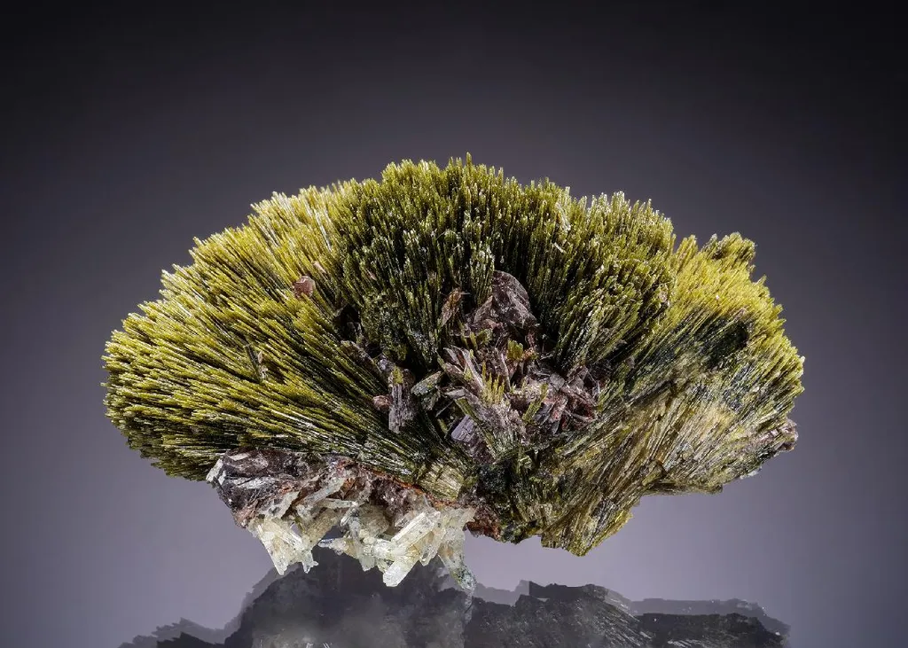 Epidote with Axinite-(Mn) and Quartz image