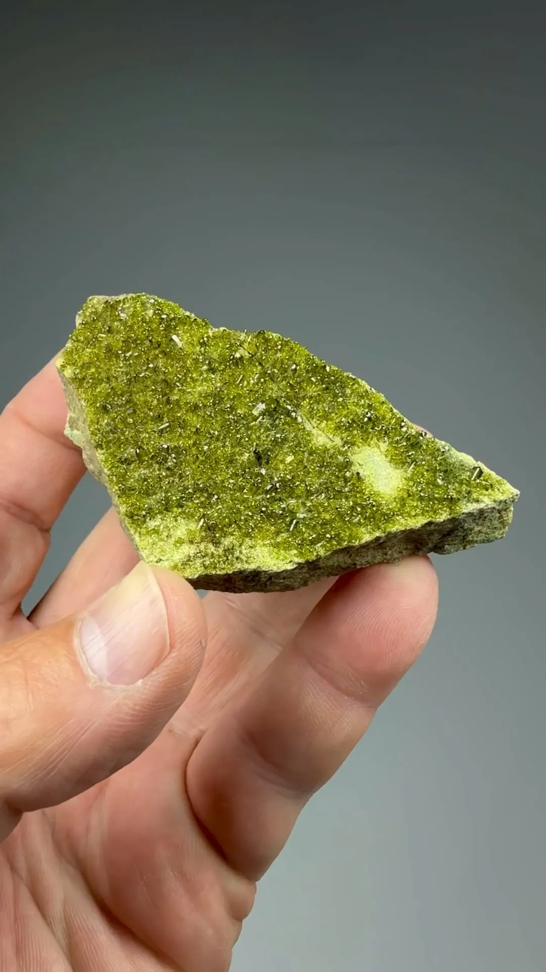 Epidote with Diopside - image 2
