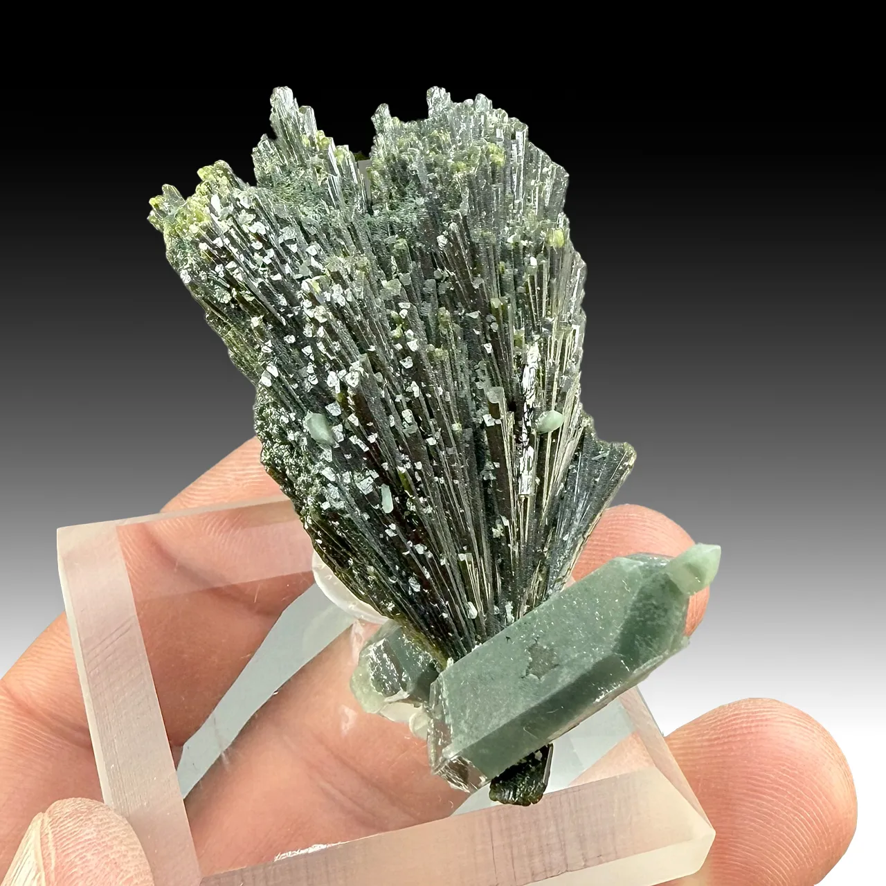 Epidote with Quartz (1306) - image 1