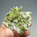 Epidote with Quartz - image 2