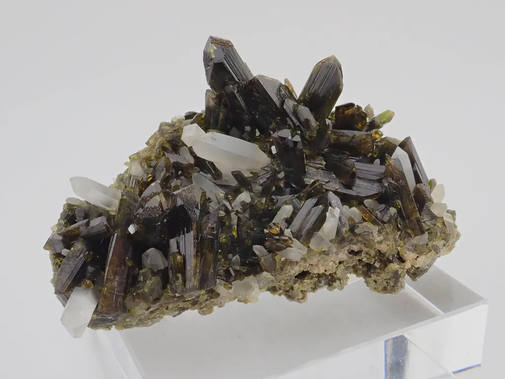 Epidote with Quartz image