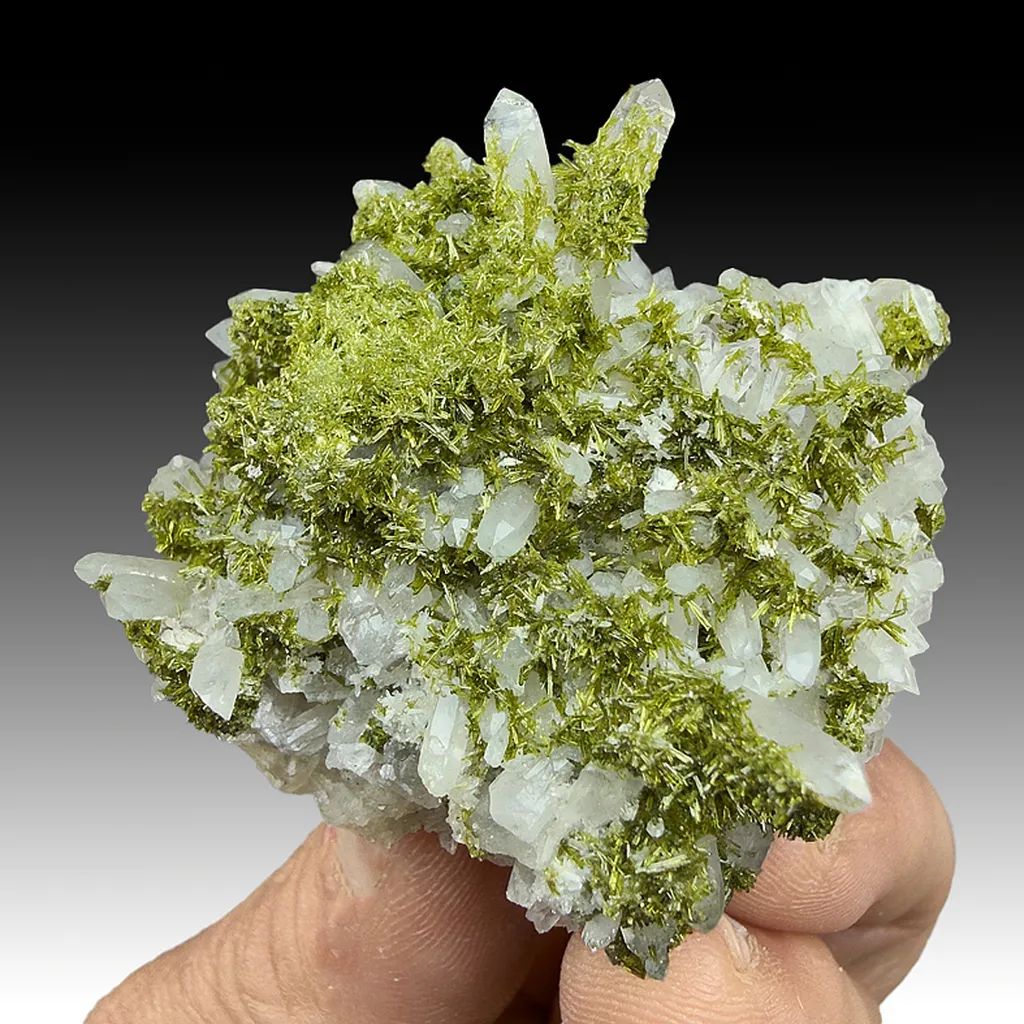 Epidote with Quartz image