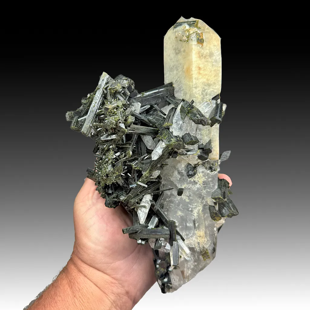 Epidote with Quartz image