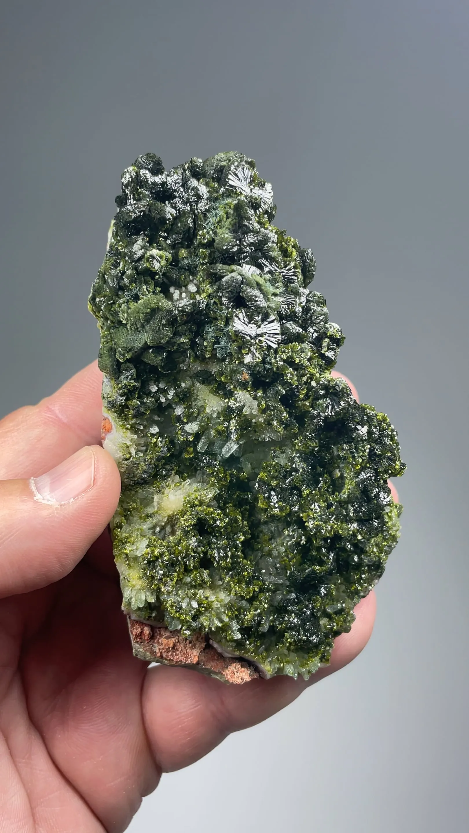 Epidote with Quartz - image 2