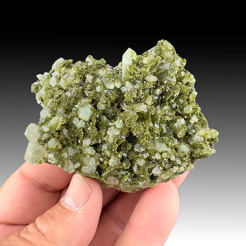 Epidote with Quartz image