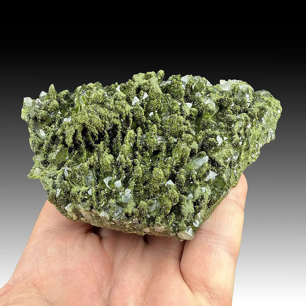 Epidote with Quartz image