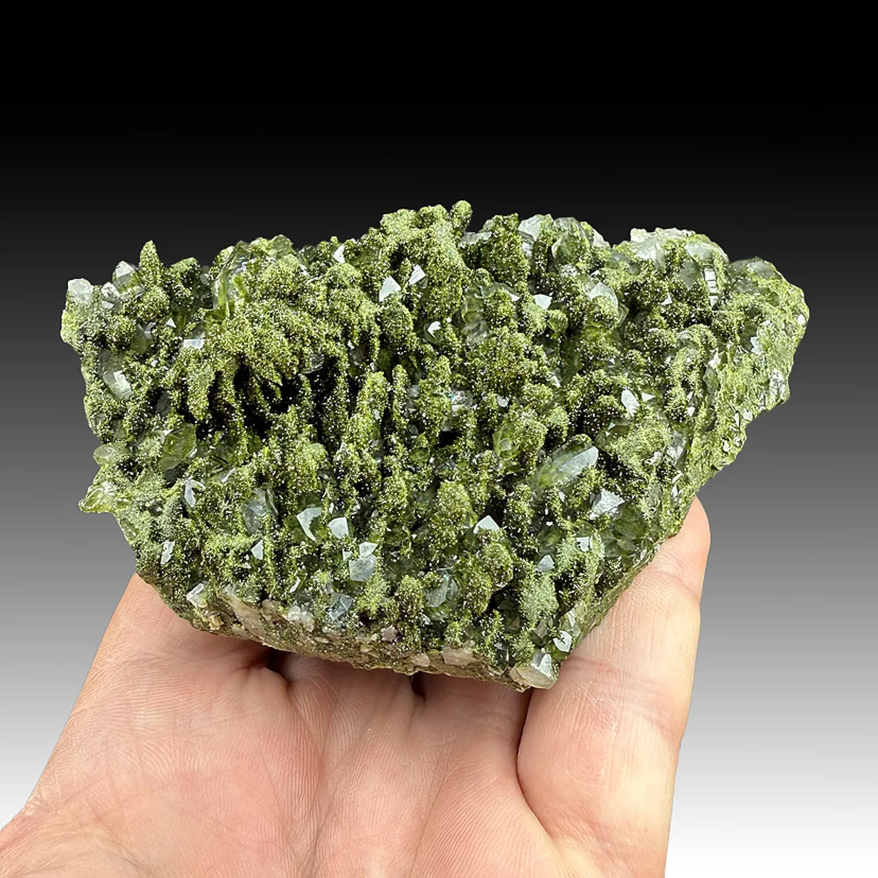 Epidote with Quartz - image 1