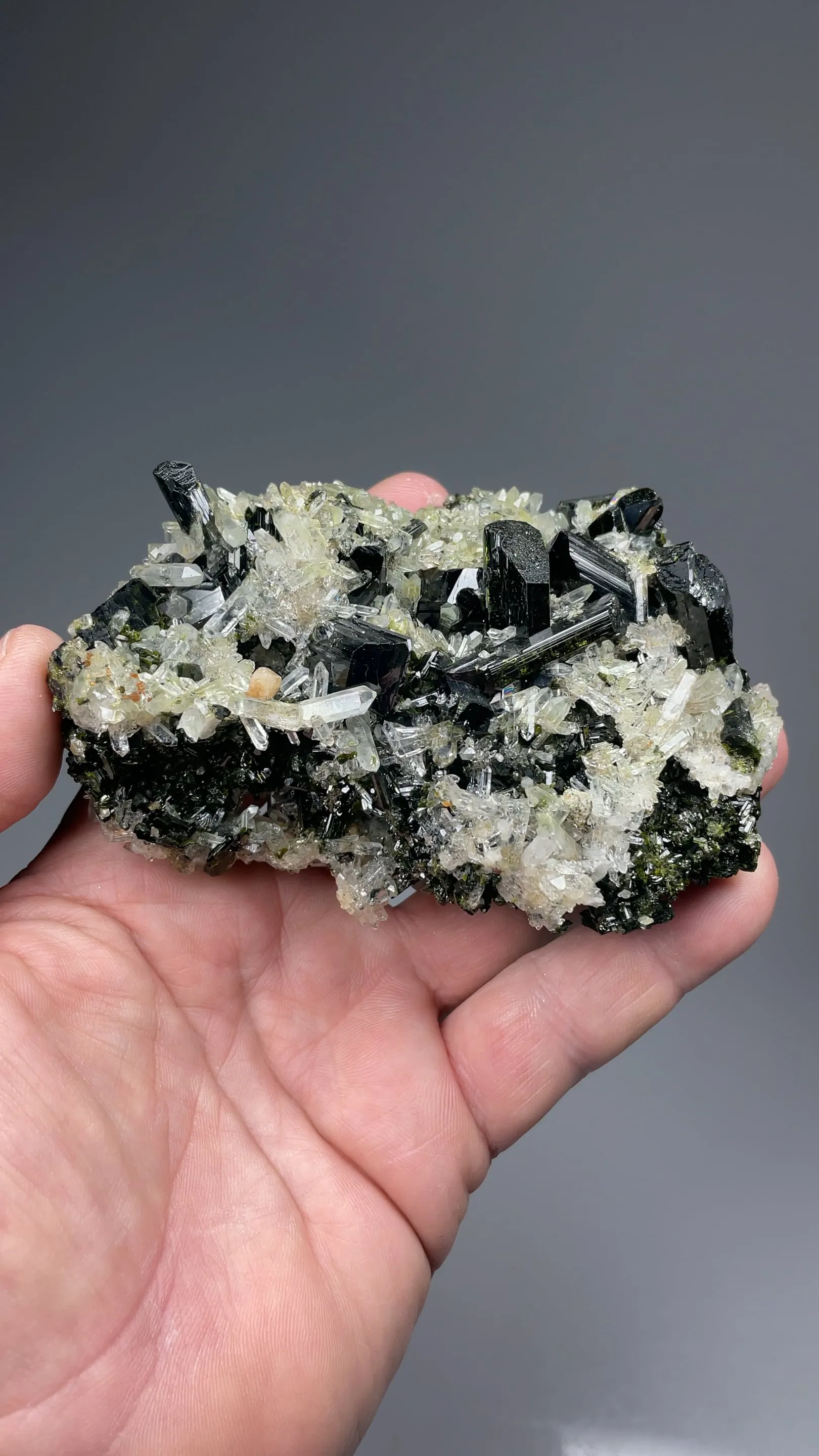 Epidote with Titanite, Quartz - image 2