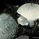 Epistilbite - image 3