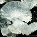 Epistilbite - image 2