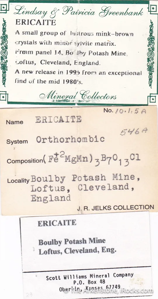 Ericaite with Sylvite - image 4