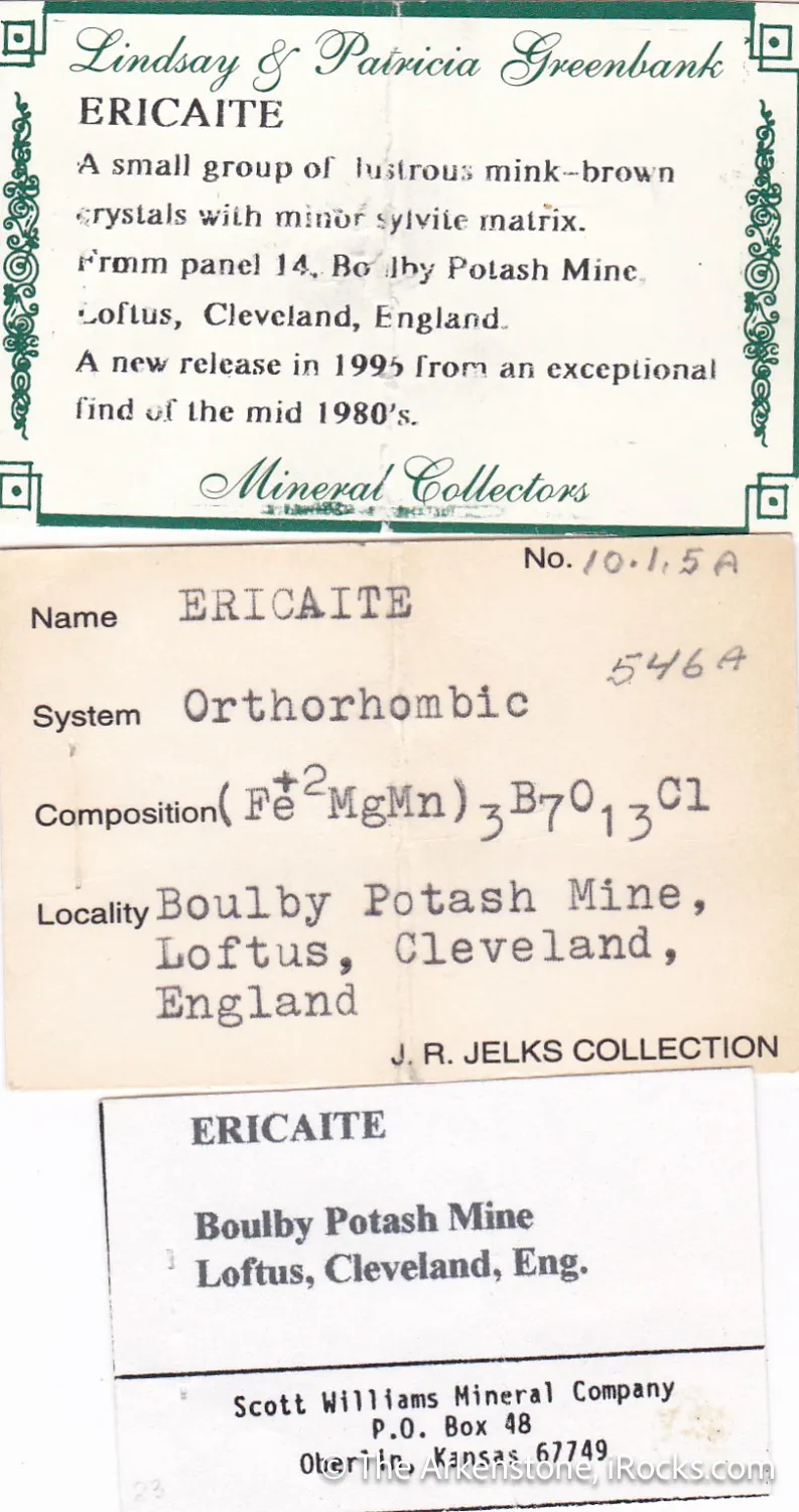 Ericaite with Sylvite - image 4