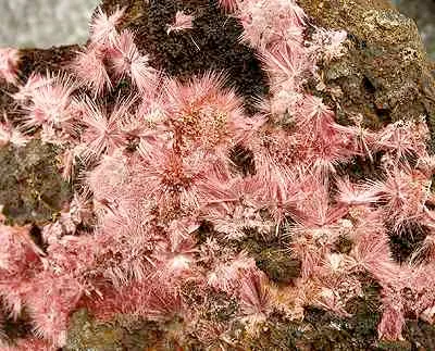 Erythrite - image 2
