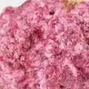 Erythrite - image 2