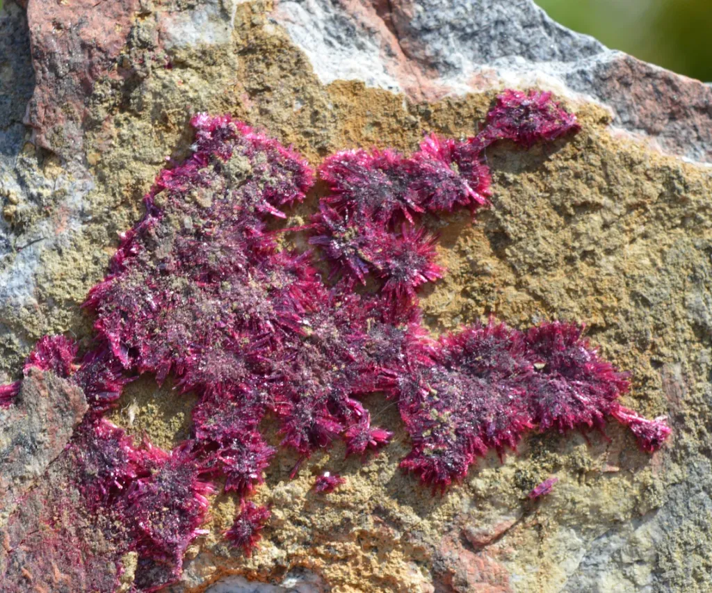 Erythrite - 686 grams - Mount Cobalt Mine, Selwyn District, Cloncurry Shire, Queensland, Australia - image 3