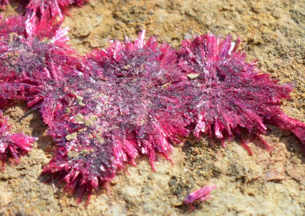 Erythrite - 686 grams - Mount Cobalt Mine, Selwyn District, Cloncurry Shire, Queensland, Australia - image 8