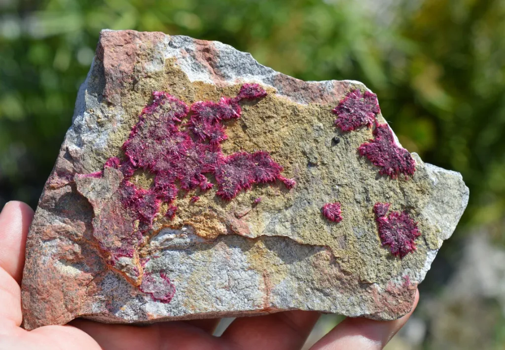 Erythrite - 686 grams - Mount Cobalt Mine, Selwyn District, Cloncurry Shire, Queensland, Australia image