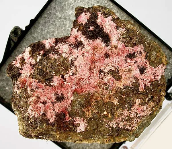 Erythrite image