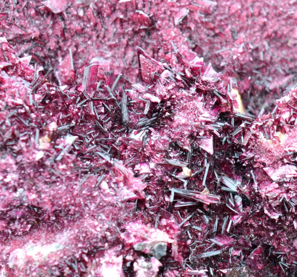 Erythrite 888 grams - Bou Azzer mining district, Drâa-Tafilalet Region, Morocco - image 6