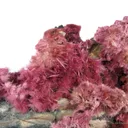 Erythrite - image 2