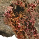 Erythrite - image 4