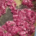 Erythrite - image 2