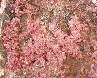 Erythrite - image 2
