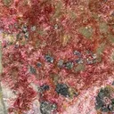Erythrite - image 2