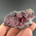 Erythrite from Agoudal Centre Mine, Agoudal Mines, Drâa-Tafilalet Region, Morocco - image 2