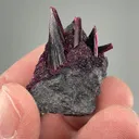 Erythrite from Bou Azzer Mine, Drâa-Tafilalet Region, Morocco - image 2