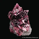 Erythrite from Bou Azzer Mine, Drâa-Tafilalet Region, Morocco - image 1